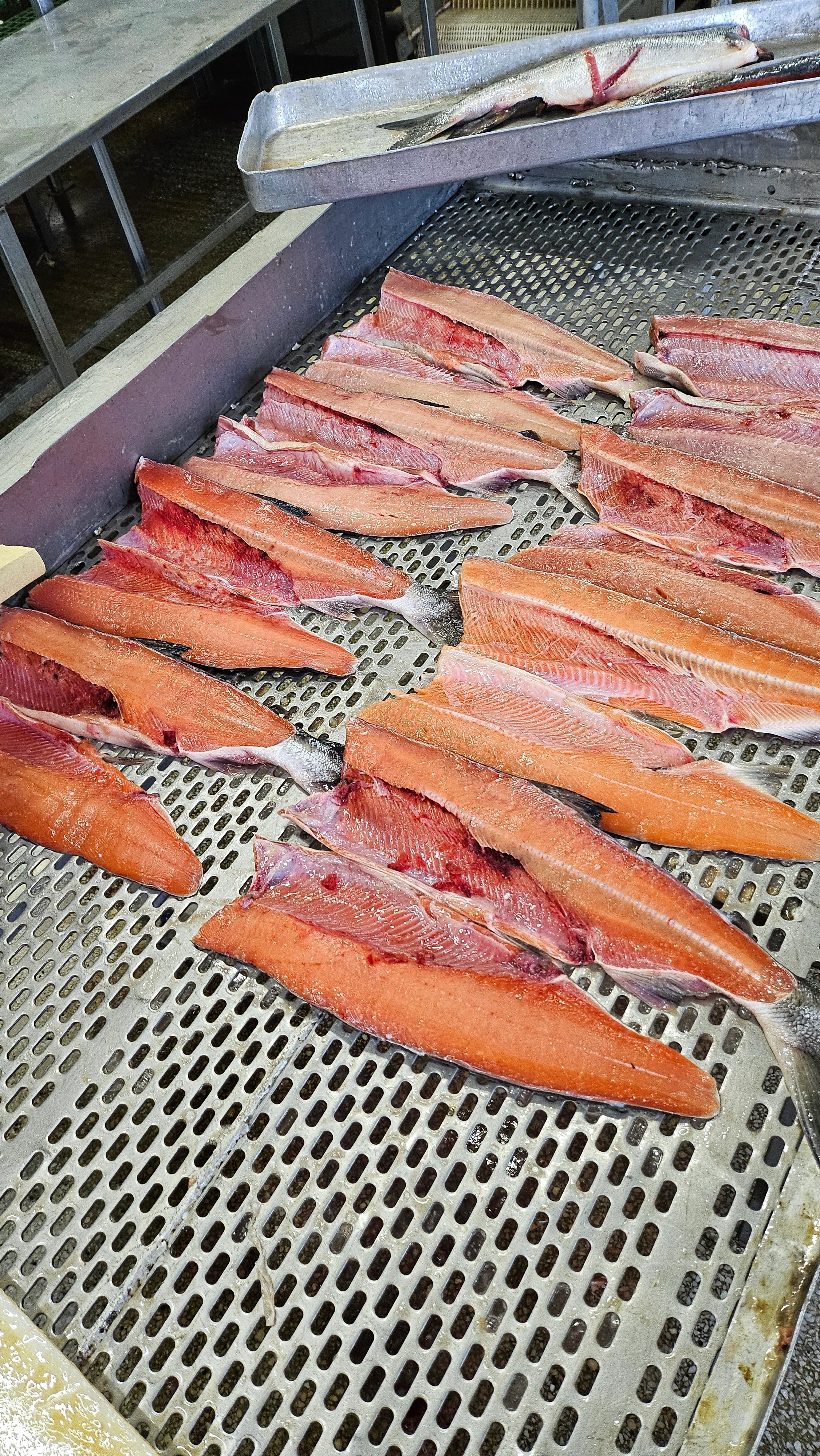 Пасифик фиш ресорсес, купить рыбу оптом