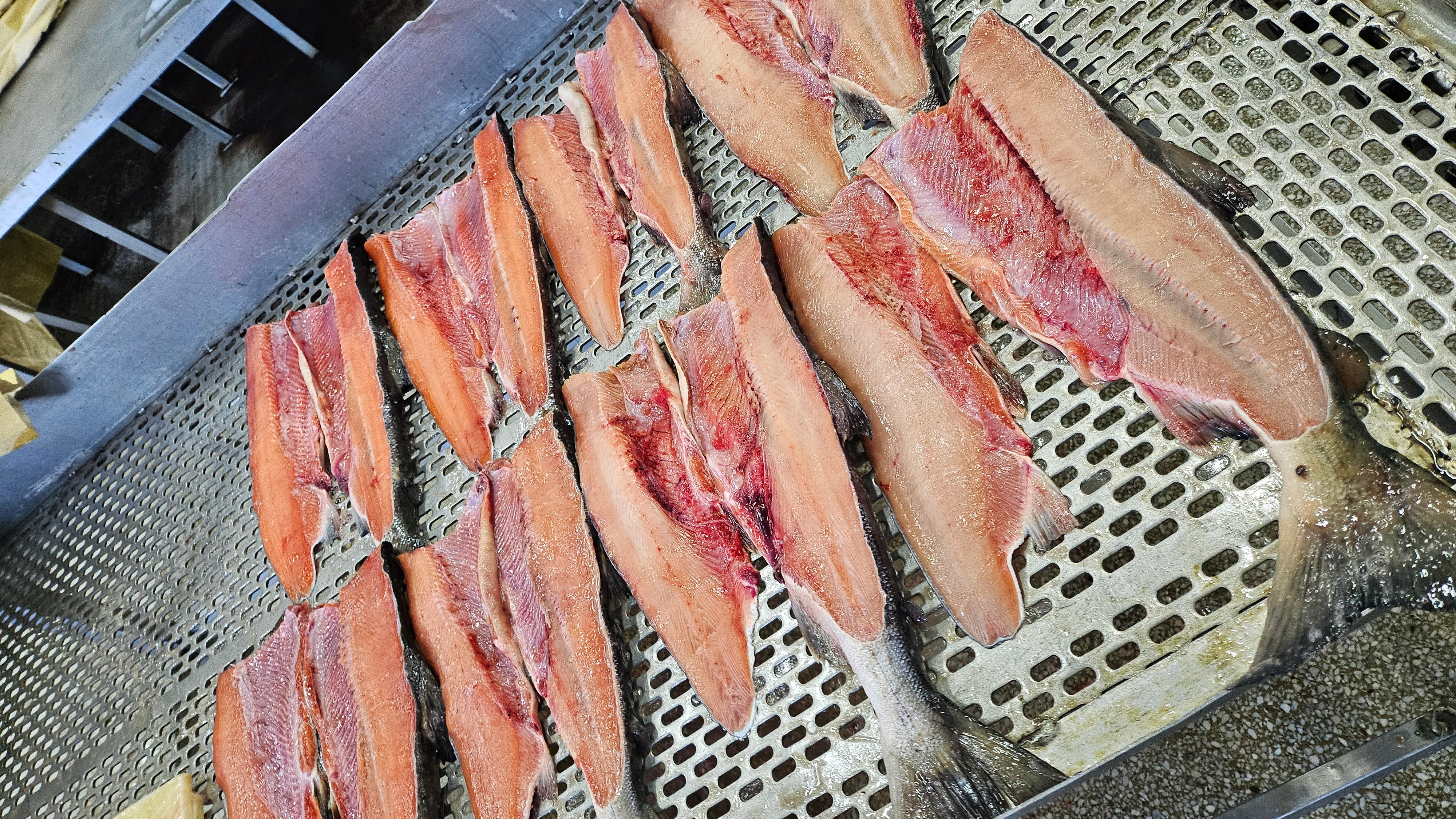 Пасифик фиш ресорсес, купить рыбу оптом