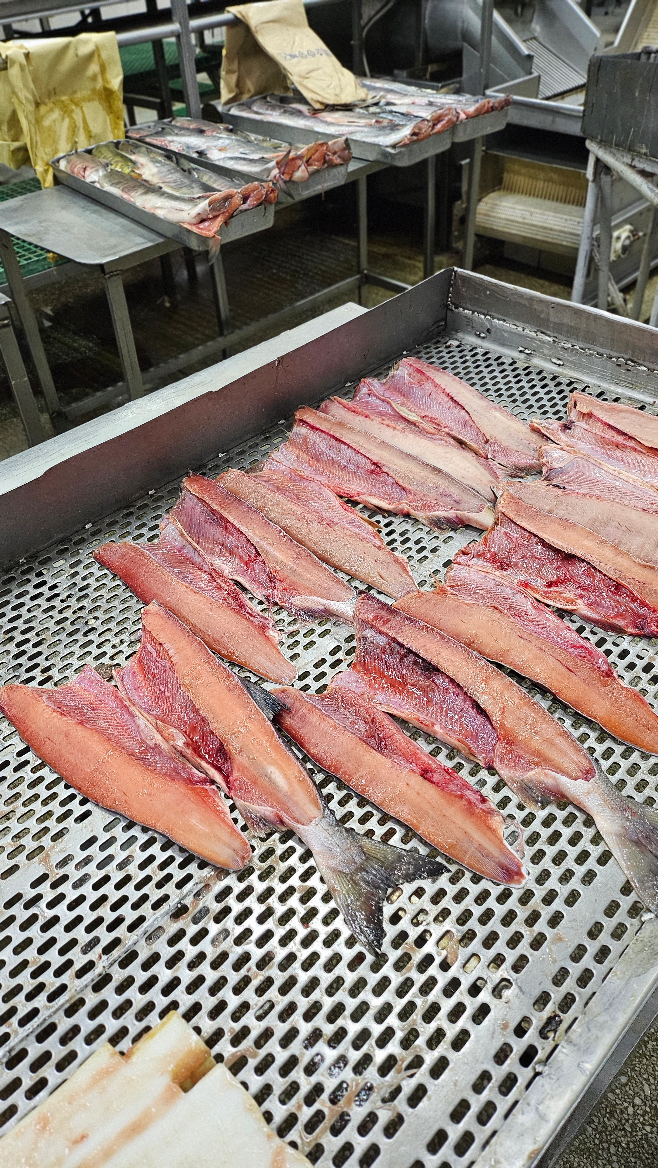 Пасифик фиш ресорсес, купить рыбу оптом