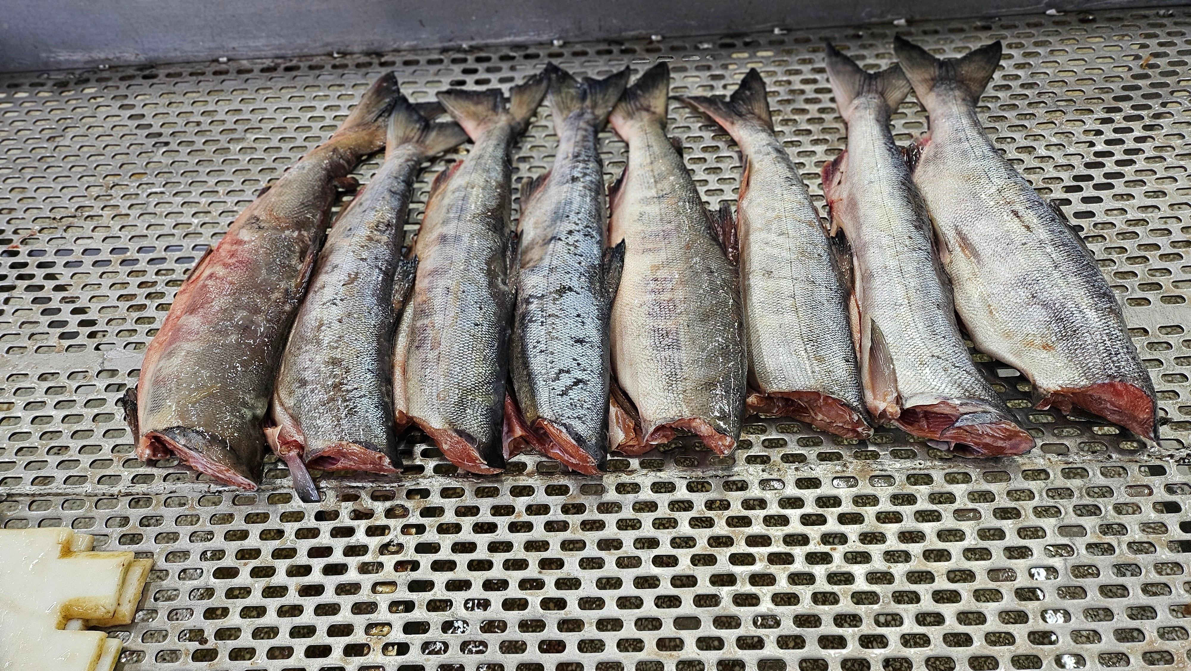 Пасифик фиш ресорсес, купить рыбу оптом