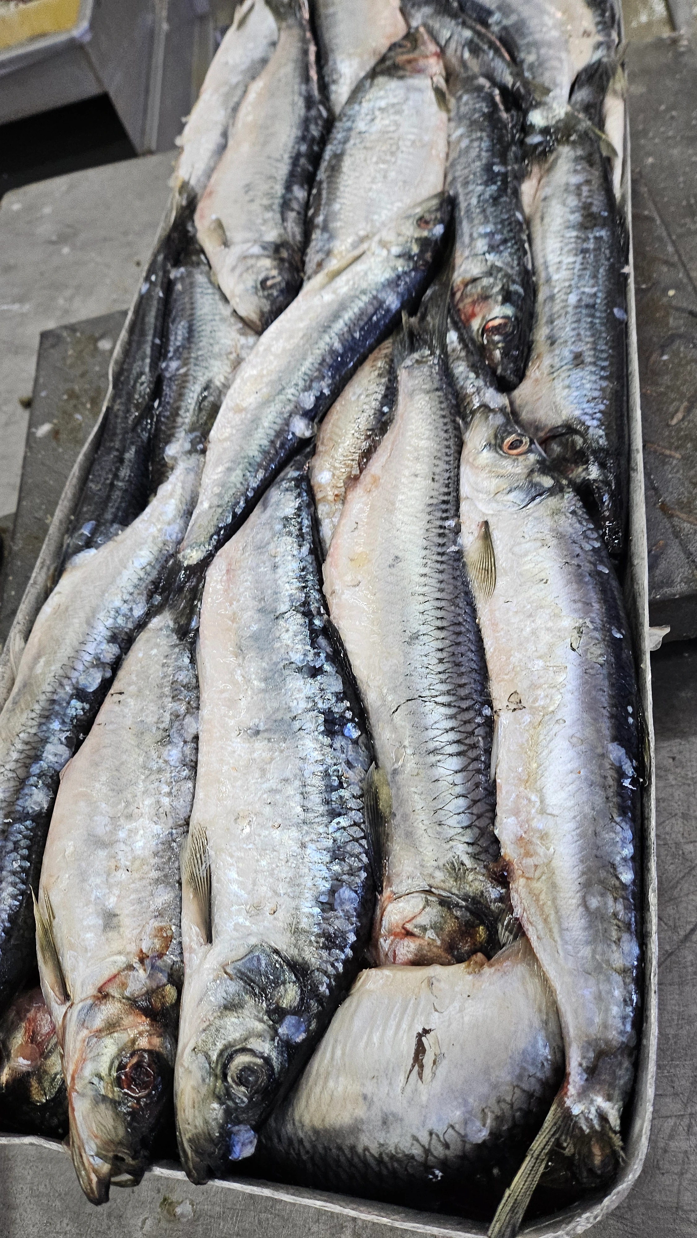 Пасифик фиш ресорсес, купить рыбу оптом